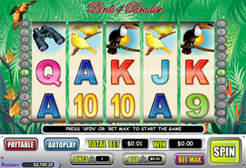 Birds Of Paradise Slots