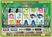 Birds Of Paradise Slots
